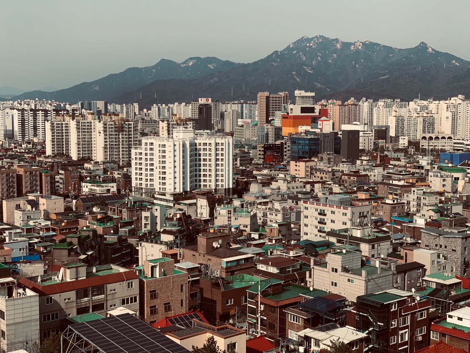강남 최신 안내 이미지 2